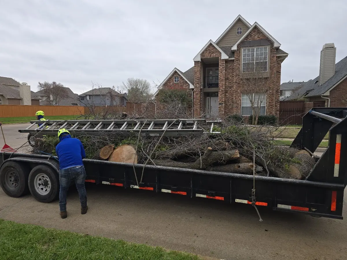 Expert Tree Fertilization with proper safety equipment in Plattsburgh